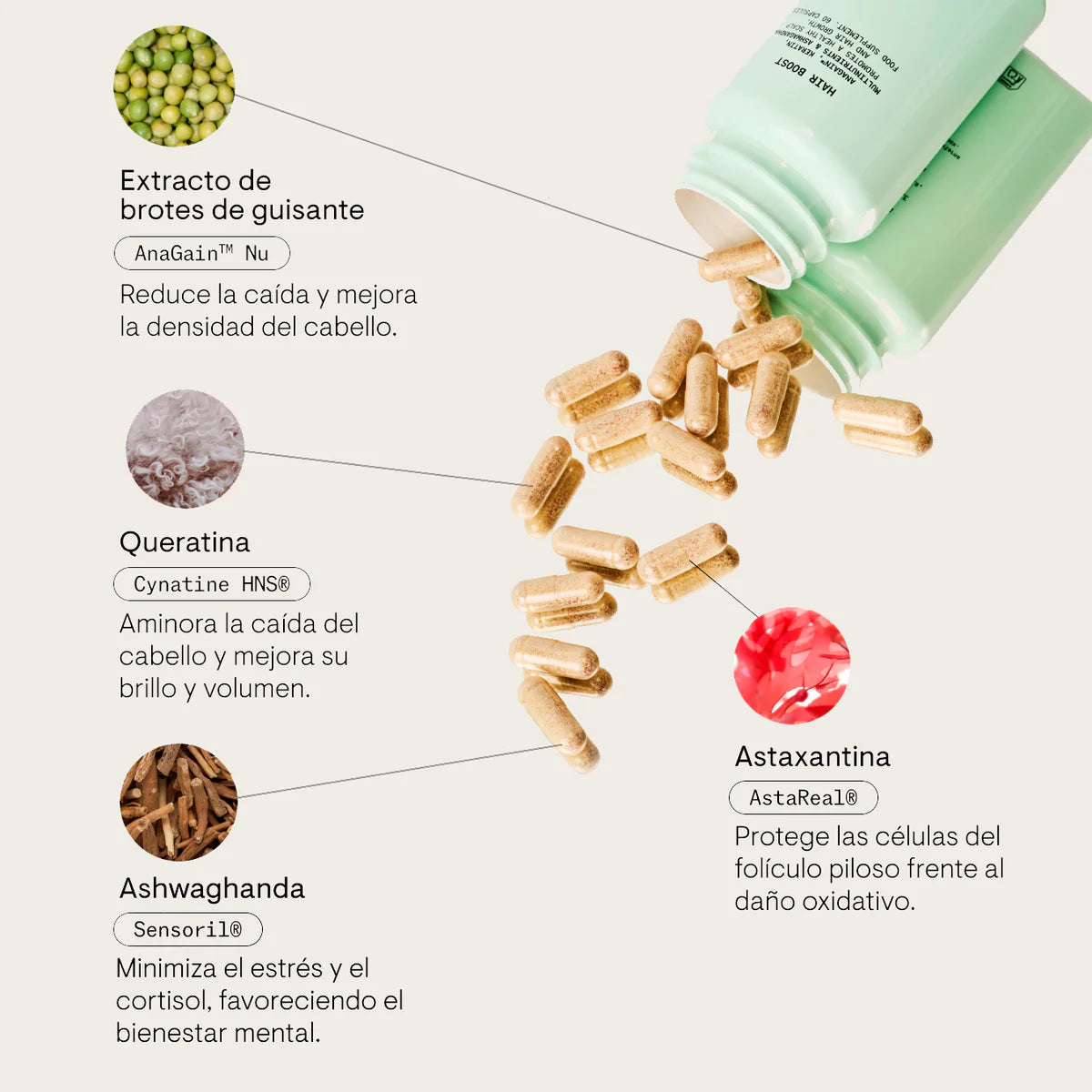 Modesta Cassinello Hair Boost